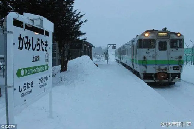 Stasiun Kami-Shirataki di Hokkaido, Jepang bertenti beroperasi pada 26 Maret 2016 saat Kana lulus dari sekolahnya. (Sumber Foto: Dailymail)