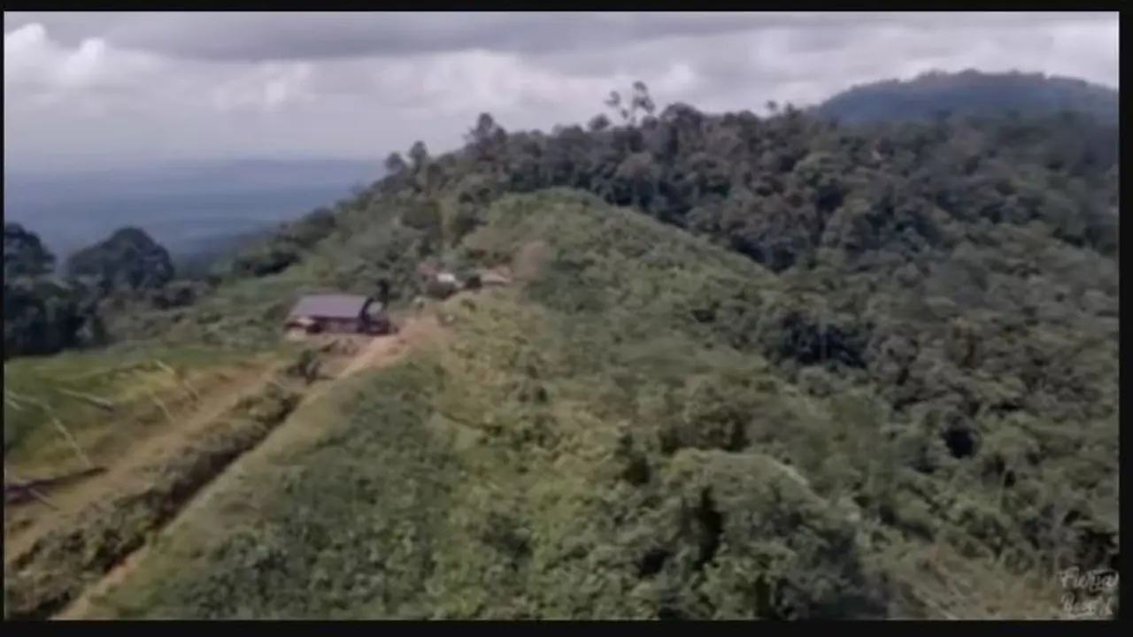 Warung Tertinggi di Kalimantan Selatan Banyak Pengunjung Meski Hanya Sajikan Menu Seadanya