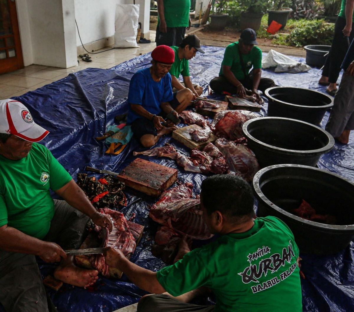 Setelah proses penyembelihan selesai, daging kurban kemudian dipotong-potong dan dikemas untuk didistribusikan kepada warga yang berhak menerimanya.&nbsp;Foto: Liputan6.com / Angga Yuniar<br>