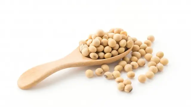 Ilustrasi kacang kedelai