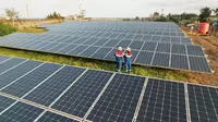 Pertamina New & Renewable Energy (Pertamina NRE) mencatatkan peningkatan kapasitas energi terbarukan sebesar 14 persen dibandingkan periode yang sama tahun lalu. Dok PNRE