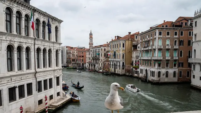 Venesia