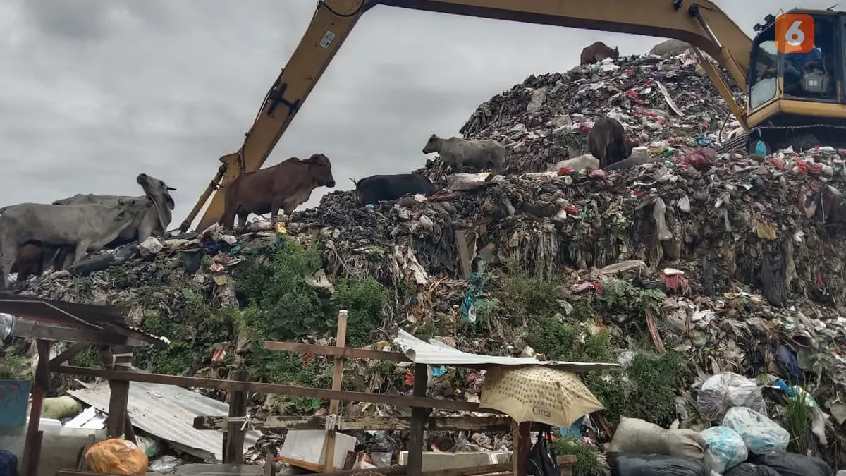 Berita Pengolahan Sampah Makassar Hari Ini Kabar Terbaru Terkini 5447