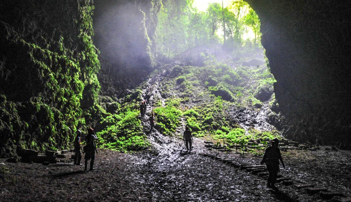 Untuk mencapai lokasi, pengunjung dapat menempuh perjalanan sekitar 1,5 jam dari pusat Kota Yogyakarta. Rutenya melewati Jalan Imogiri Timur hingga Pasar Imogiri, kemudian berlanjut ke Jalan Imogiri Barat, Pasar Playen, dan Jalan Wonosari, sebelum akhirnya tiba di Desa Pacarejo. Petunjuk menuju Gua Jomblang cukup jelas, dan jalan menuju lokasi sudah bisa dilalui kendaraan roda empat. Tampak dalam foto, wisatawan saat berada di dalam Goa Jomblang  di Gunung Kidul, Yogyakarta. (merdeka.com/Arie Basuki)