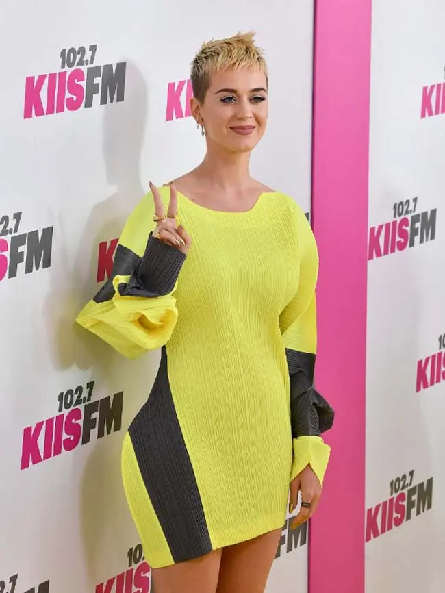 Katy Perry. (AFP/Rich Furry)