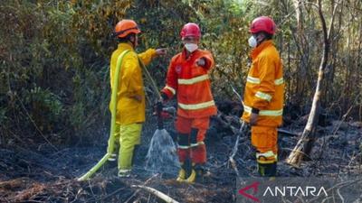 BPBD Kaltim Susun Regulasi Karhutla, Perkuat Tata Kelola Lingkungan Berbasis Perda Baru