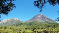 Gunung Egon di Nusa Tenggara Timur (NTT). (Dok: Instagram @y223f8)