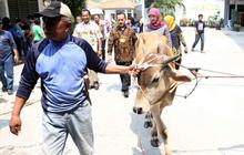 Menengok pemotongan hewan kurban di Rutan Pondok Bambu