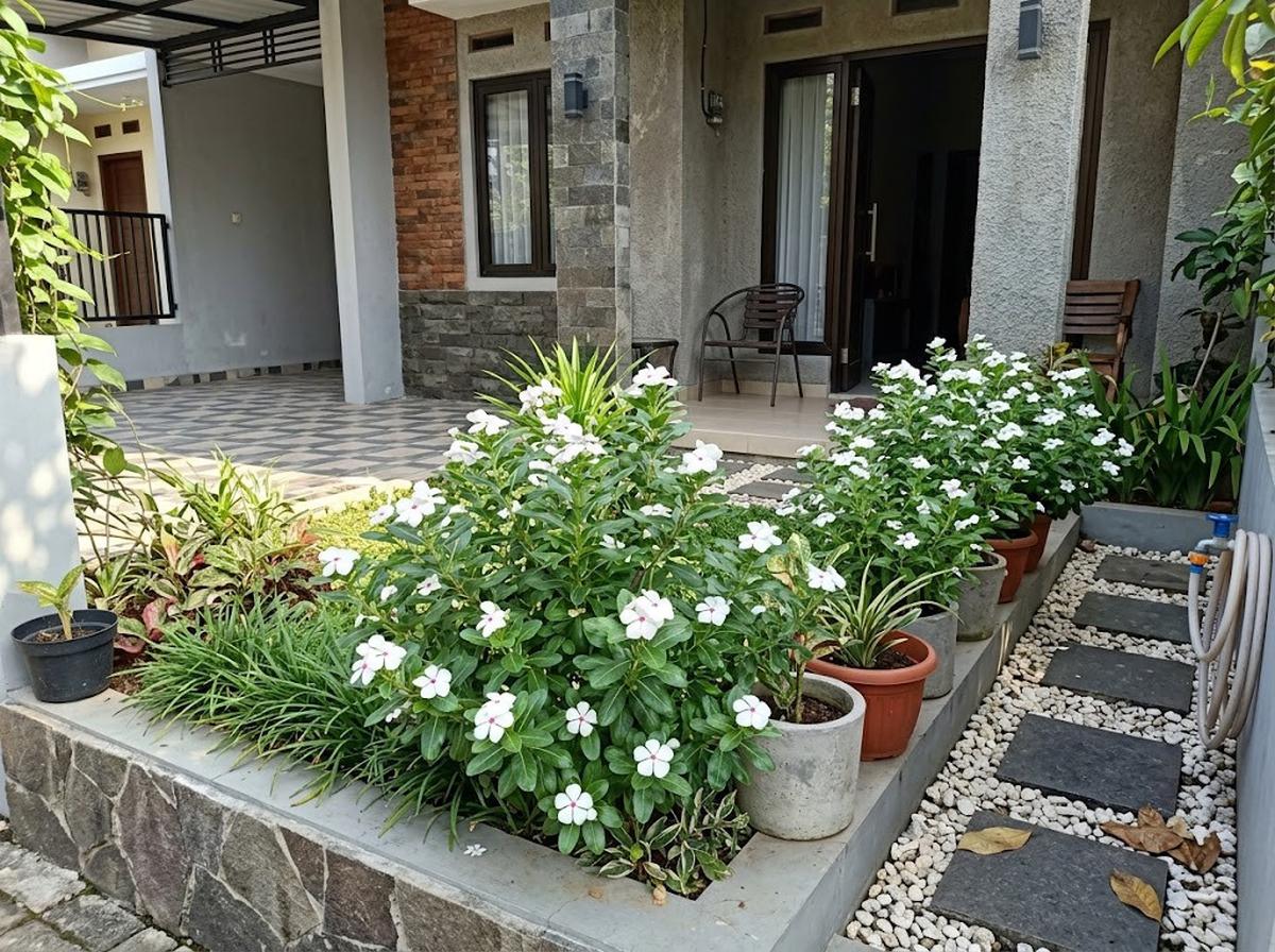 13 Tanaman Bunga Putih yang Cocok untuk Taman Minimalis, Hadirkan Kesan Asri