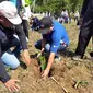 Bupati Bone Bolango Hamim Pou saat melakukan penanaman pohon enau di Kecamatan Bulango Ulu (Arfandi/Liputan6.com)