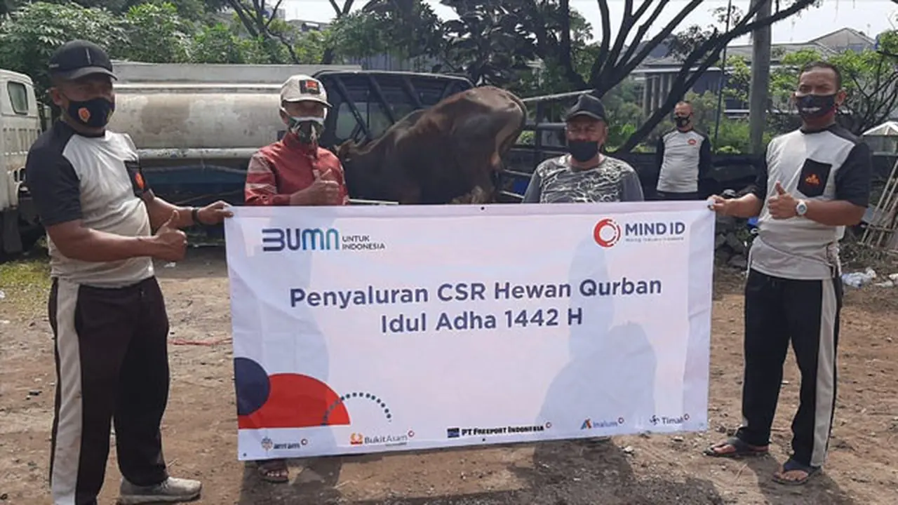 Total 532 Sapi dan 123 Kambing Hewan Qurban Disalurkan Grup MIND ID saat Hari Raya Idul Adha