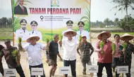 Pertanian Aceh Berangsur Pulih Usai Bencana Hidrometeorologi
