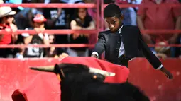 Seorang anak bernama Kilian (10) bertarung melawan banteng kecil saat belajar menjadi matador di arena adu banteng Franquevaux di sekolah adu banteng, Prancis selatan (20/5). (AFP Photo/Anne-Christine Poujoulat)