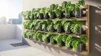 7 Ide Galon Bekas Jadi Pot Monstera yang Lebih Estetik, Inspirasi DIY yang Kekinian
