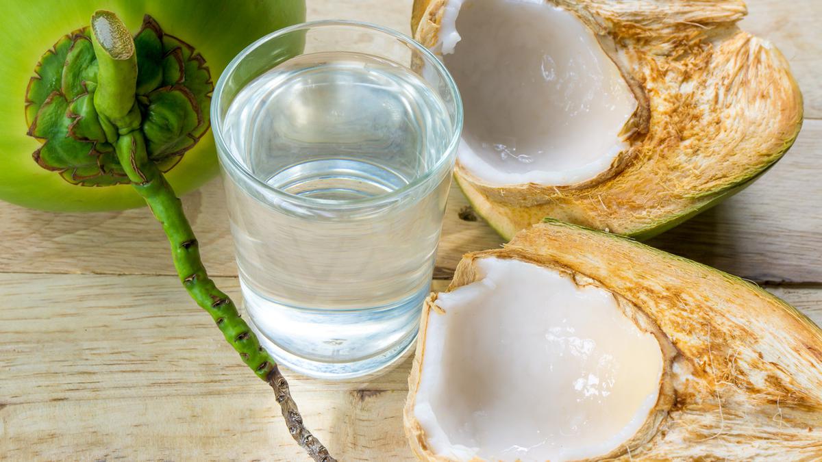 Vaksin kelapa setelah manfaat air Benarkah Air