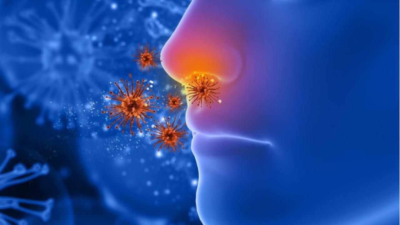 Mengenal Penyebab, Gejala, dan Pilihan Pengobatan Sinusitis yang Efektif