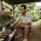 10 Cara Memperbanyak Bougenville dari Batang Tanpa Grafting