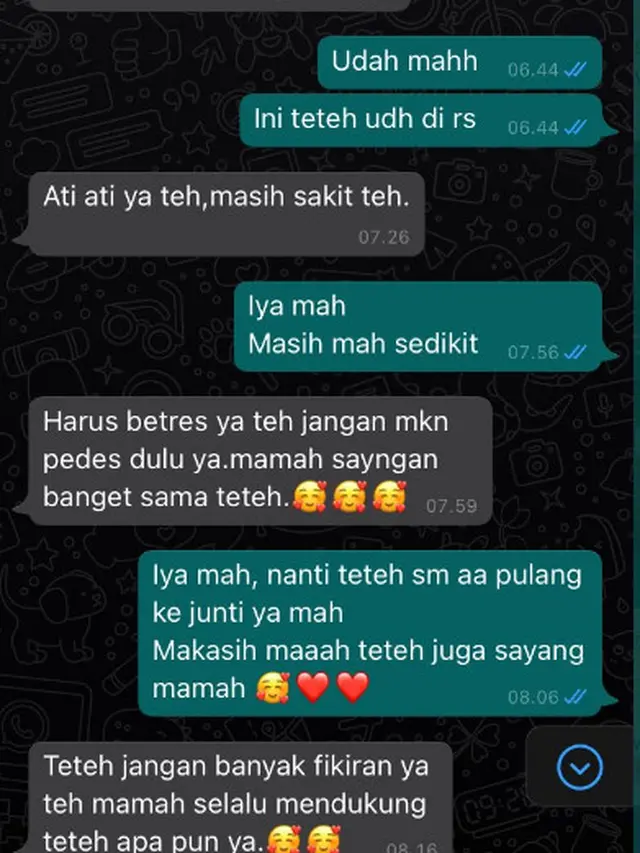 6 Chat Antara Calon Mertua dan Menantu Ini Bikin Senyum Sendiri