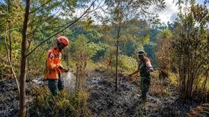 Daftar Gunung dan Taman Nasional Terbakar Selama Musim Kemarau