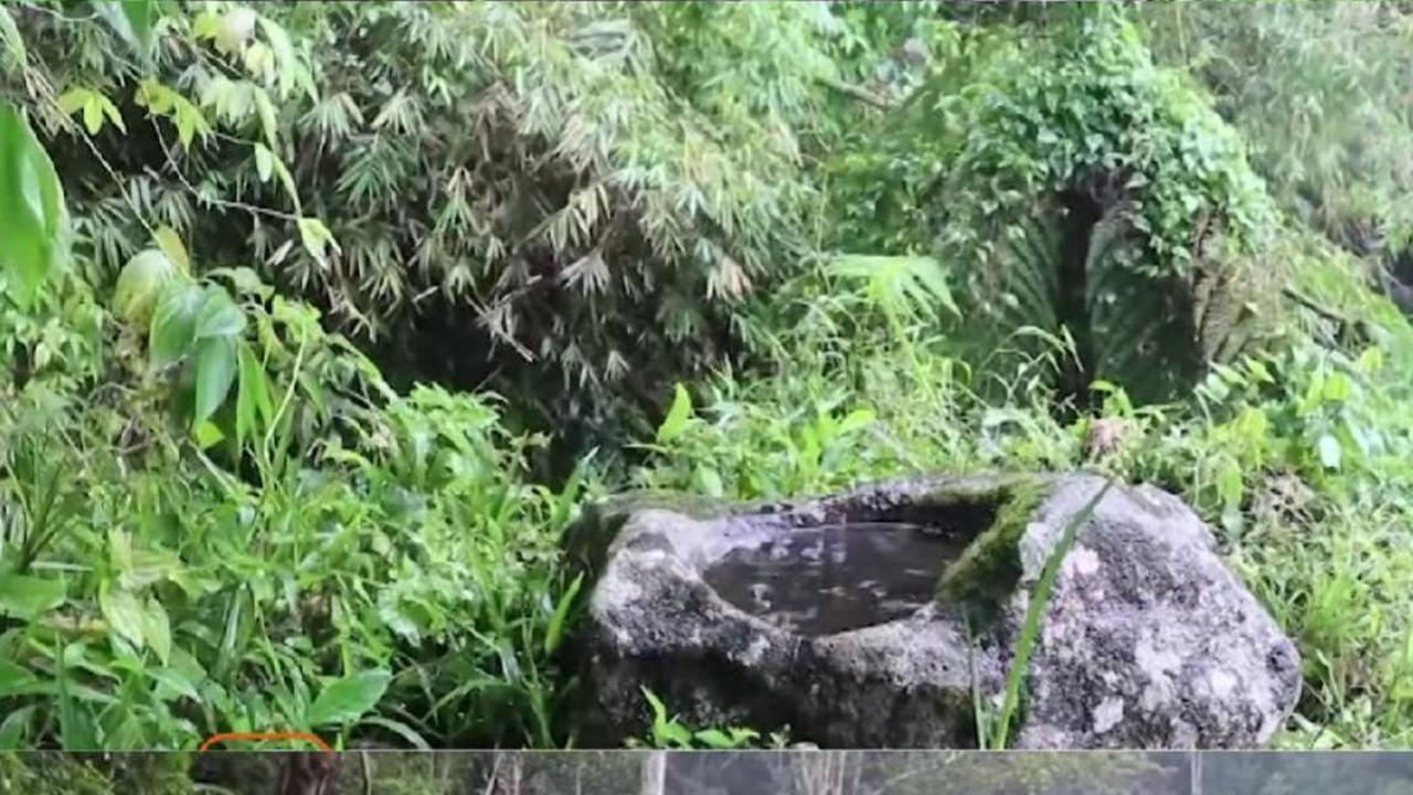 Airnya Dipercaya Bikin Awet Muda, Batu Lesung di Tengah Sawah Lampung Diperkirakan Berusia Hampir 1.000 Tahun