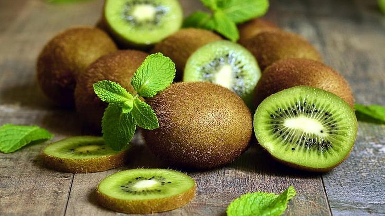 <b>Buah Kiwi</b><br>