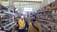 Mahasiswa Unsoed, Purwokerto menciptakan alat untuk menyesuaikan suhu di kandang ternak puyuh secara otomatis. (Liputan.com/Unsoed)