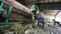 Bakar Sampah Pakai Insinerator Mesti Hati-Hati, Bisa Lepaskan Senyawa yang Bahayakan Kesehatan