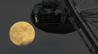 Ada Cold Moon Nanti Malam, Super Moon Terakhir di 2025 Buat Bulan Terlihat Lebih Besar dan Terang