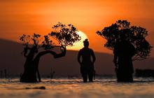 FOTO: Senja Pantai Walakiri Memikat Wisatawan di Sumba Timur
