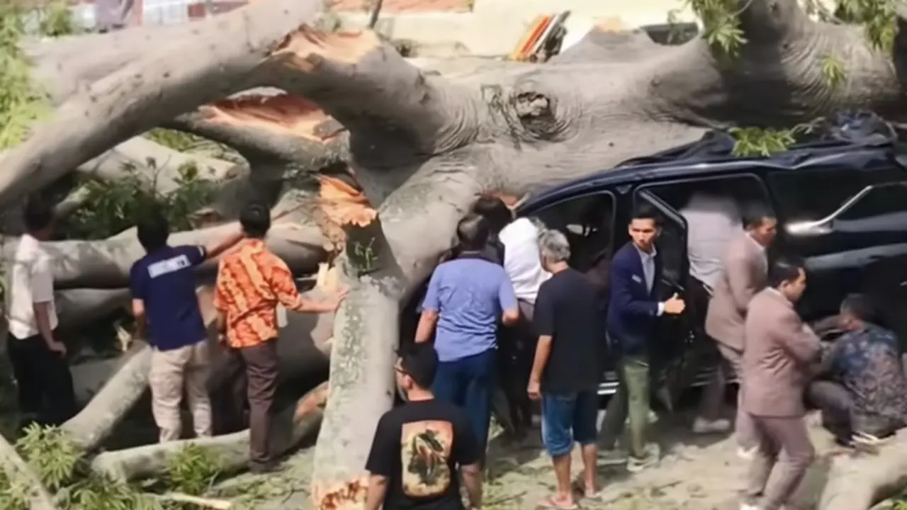Pohon tumbang timpa dua kendaraan minibus di Hotel Bandar Lampung.