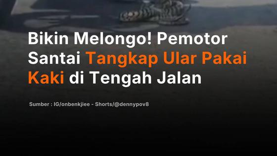 Bikin Melongo! Pemotor Santai Tangkap Ular Pakai Kaki di Tengah Jalan