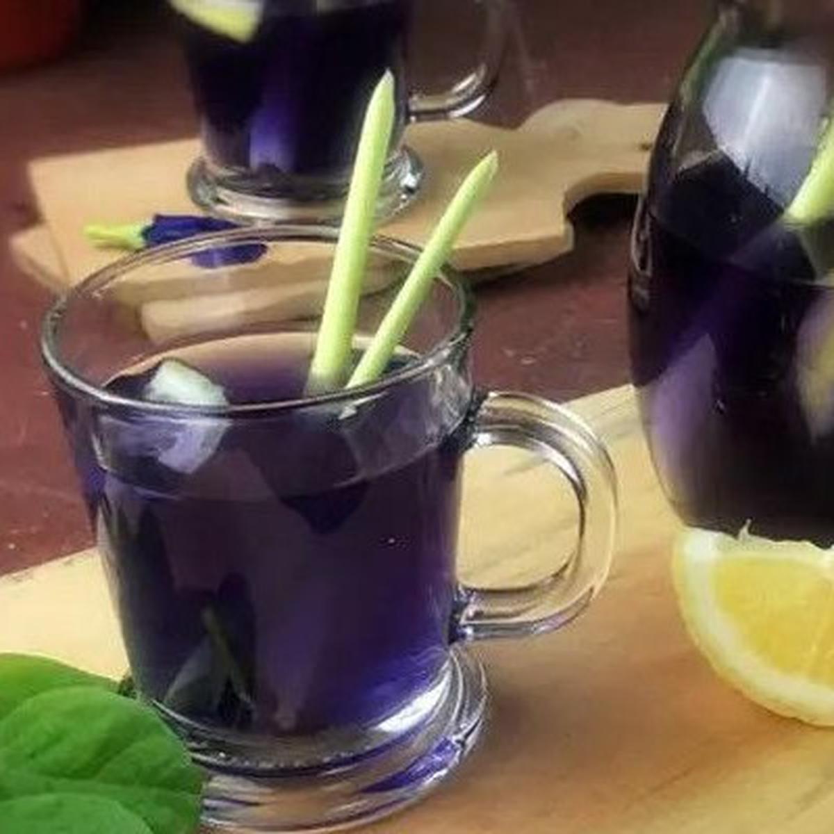 5 Resep Minuman Bunga Telang yang Menyegarkan dan Menyehatkan