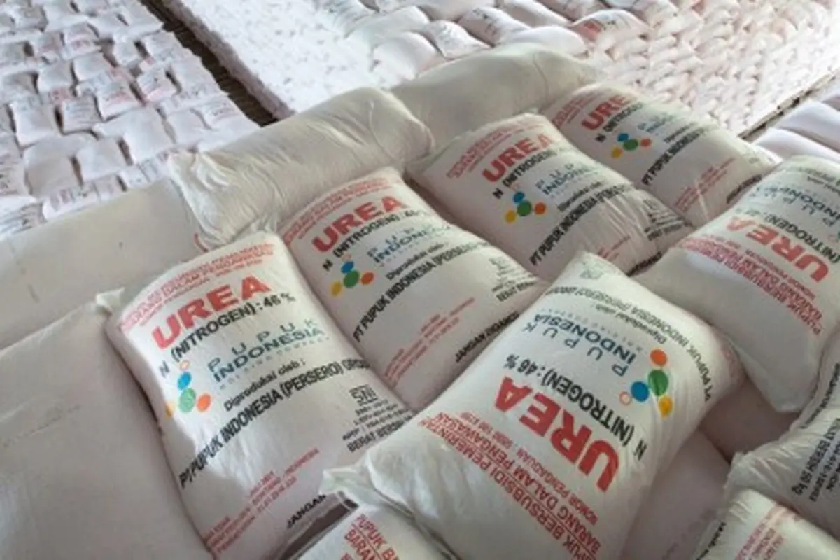Puluhan Ribu Ton Pupuk Subsidi Tersedia di Sumsel