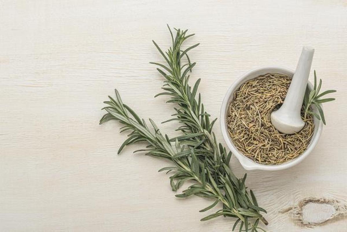 7 Rempah Dapur yang Bisa Ditumbuhkan di Pot Kecil, Cocok untuk Rumah Minimalis