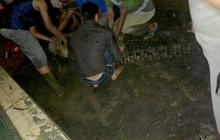 Pawang tangkap belasan buaya yang lepas saat banjir di Sumut