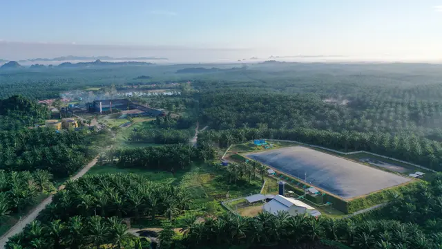 PT Eagle High Plantations Tbk