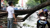 Pohon Tumbang Tutup Jalan di Cipinang, Lalu Lintas Tersendat