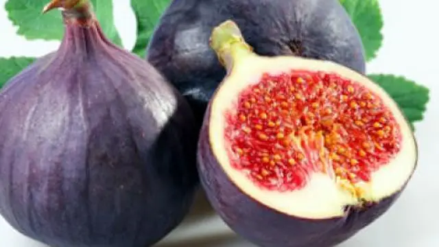Buah tin, salah satu buah terbaik untuk dijadikan camilan. merdeka.com/reluctantgourmet.com