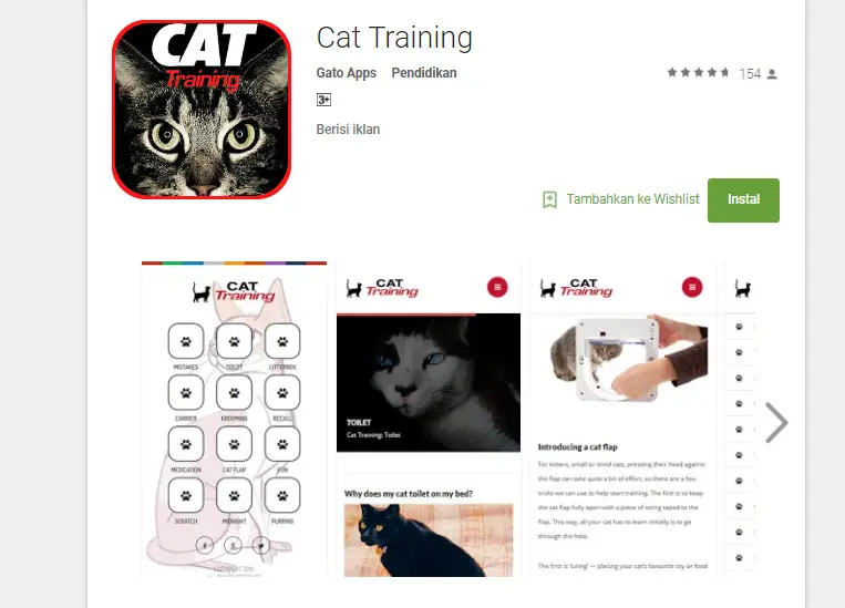 Aplikasi Cat Training (Sumber: Google Play Store)