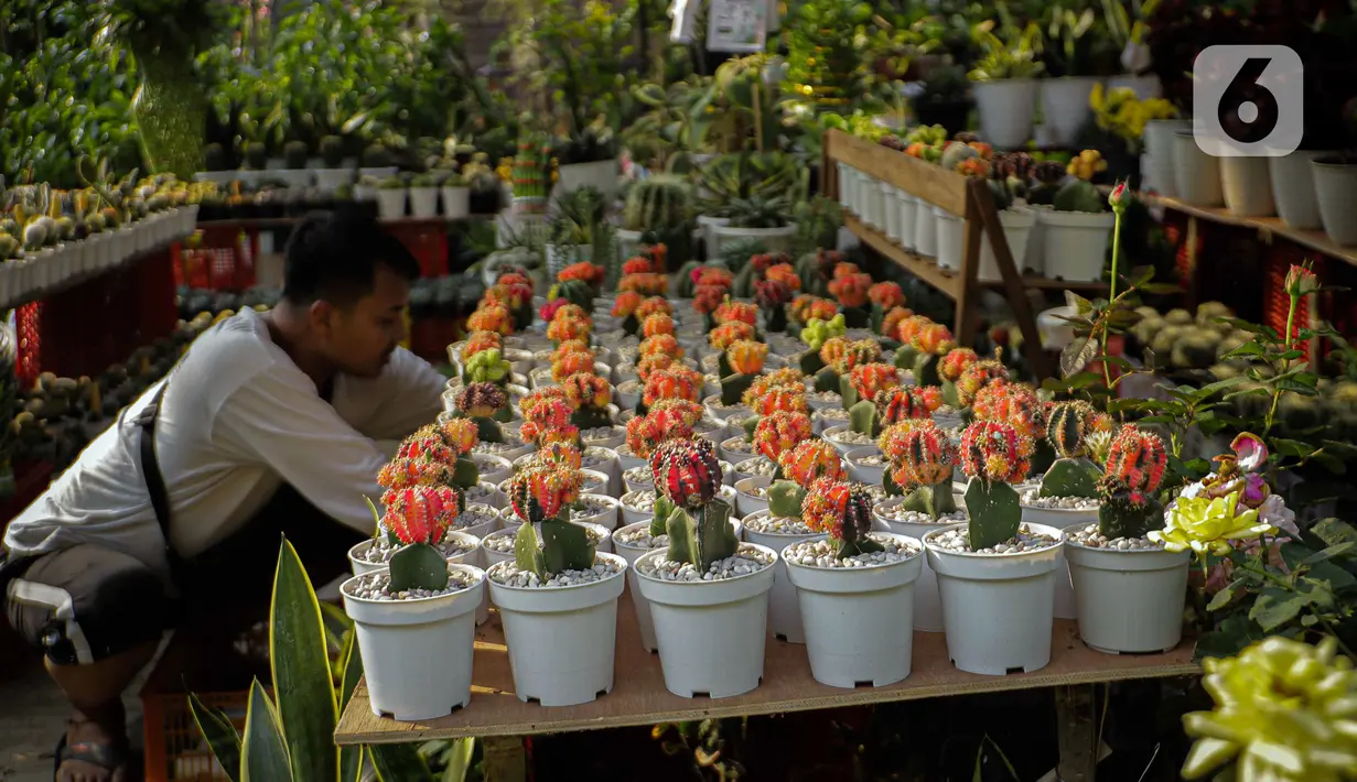 Pameran ini juga sebagai upaya dinas pertamanan dan hutan kota secara konsisten melakukan penghijauan dengan penanaman pohon di seluruh wilayah kota. (Liputan6.com/Faizal Fanani)