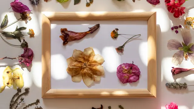 Pressed Flowers