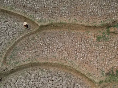 Foto udara kondisi sawah yang kekeringan di Desa Ridogalih, Cibarusah, Kabupaten Bekasi, Jawa Barat, Rabu (1/11/2023). (Liputan6.com/Herman Zakharia)