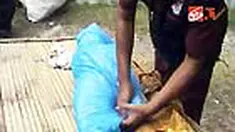 liputan6