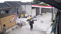 Anjing Pitbull Serang Bocah di Bandung, Terlepas Saat Dijemur