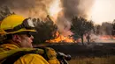  Seorang petugas pemadam kebakaran sedang memperhatikan wilayah yang terkena api di kawasan Rocky Fire, San Francisco, California, Kamis (30/7/2015). Kebakaran Rocky Fire terbakar pada sore waktu setempat. (REUTERS/Max Whittaker)