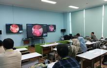 Terobosan Medis: RSND Semarang Gelar Live Operasi Tumor Otak Lewat Hidung, Pasien Bisa Pulih Cepat!