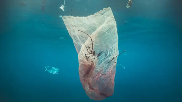 Plastic Pollution