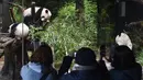 Pengunjung memotret panda kembar kelahiran Jepang dan induknya di Kebun Binatang Ueno di Tokyo, Rabu (12/1/2022). Panda kembar raksasa,  Xiao Xiao dan Lei Lei, yang lahir di Taman Zoologi Ueno Tokyo tahun lalu membuat debut publik mereka. (Tokyo Zoological Park Society via AP)