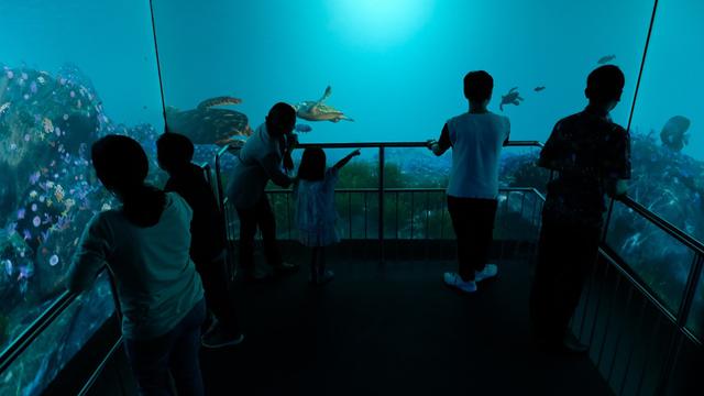 Aquarium