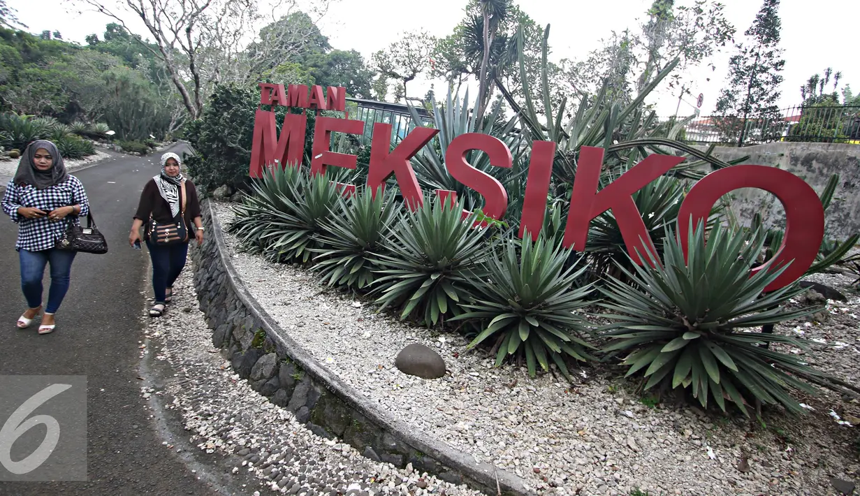 Pengunjung berjalan di sekitar Taman Meksiko, Kebun Raya Bogor, Jawa Barat, Senin (28/3). Di taman tersebut, terdapat 100 jenis kaktus, agave, yucca, dan sukulen yang berasal dari gurun Amerika serta Asia. (Liputan6.com/Immanuel Antonius)